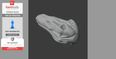 Galeamopus Skull - Skull Replica STL