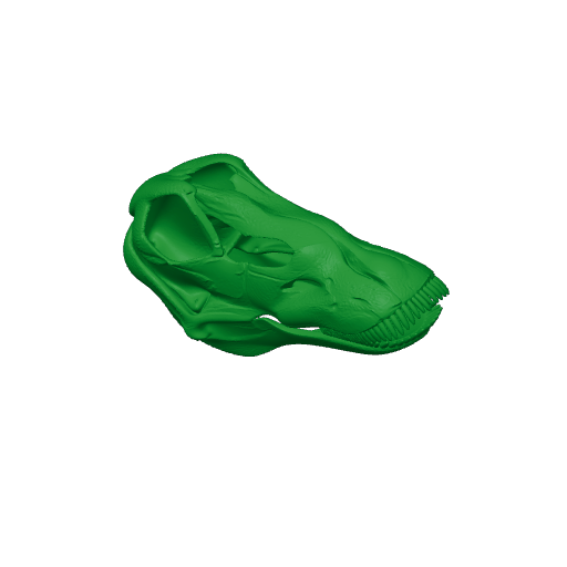 Galeamopus Skull.3mf