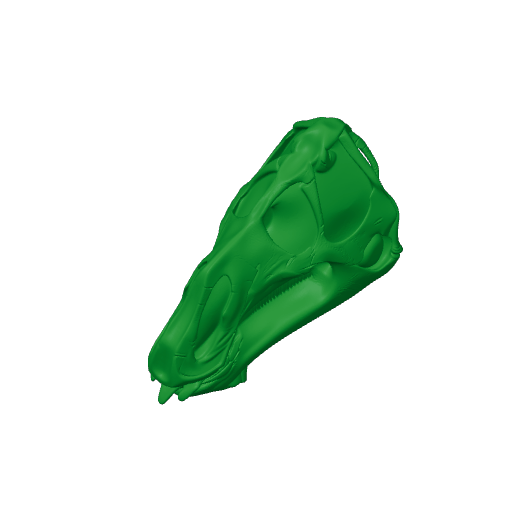 Galesaurus Skull.3mf
