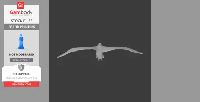 3D model of an Antipodean albatross in flight, wings spread wide, viewed from the front.