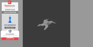 A 3D model of an Antipodean albatross in flight, designed for 3D printing.