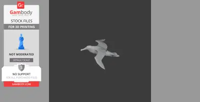 3D model of an Antipodean albatross in flight for 3D printing.