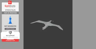 3D model of an Antipodean albatross in flight for 3D printing, viewed from above.