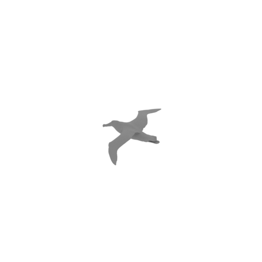 Antipodean albatross.stl
