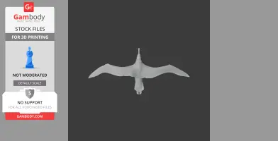 3D model of an Antipodean Albatross in flight, wings spread wide for 3D printing.