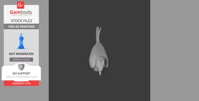 Top view of a stylized prehistoric bird-like 3D model with a pointed beak and tail.