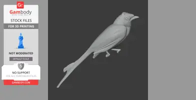 3D model of a prehistoric bird with a long tail, detailed feathers, and a beak, designed for printing.
