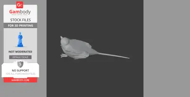 Apostlebird 3D model file for printing, showing a detailed bird with a long tail and textured wings.