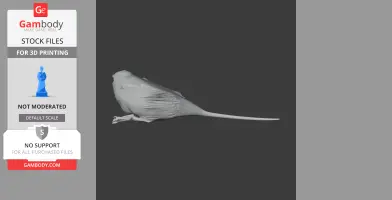 Apostlebird 3D model in profile, featuring detailed feathers and a long tail for printing.