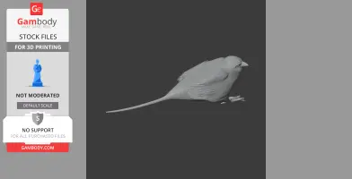 A 3D model of a bird-like creature with a long tail and detailed feathers for 3D printing.