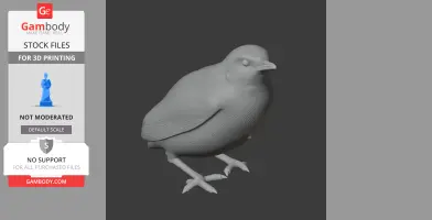 A detailed 3D model of a bird with textured feathers, ready for 3D printing.
