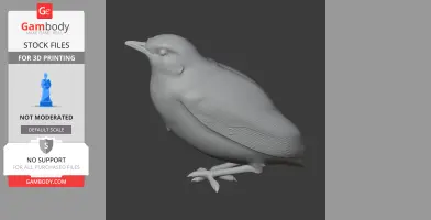 3D model of a small bird, Appert's tetraka, with detailed feathers and standing pose.
