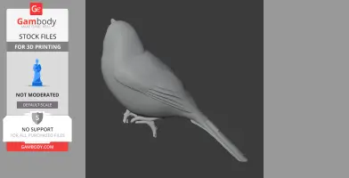 A 3D model of a bird, likely an Apurimac brushfinch, viewed from the side for 3D printing.