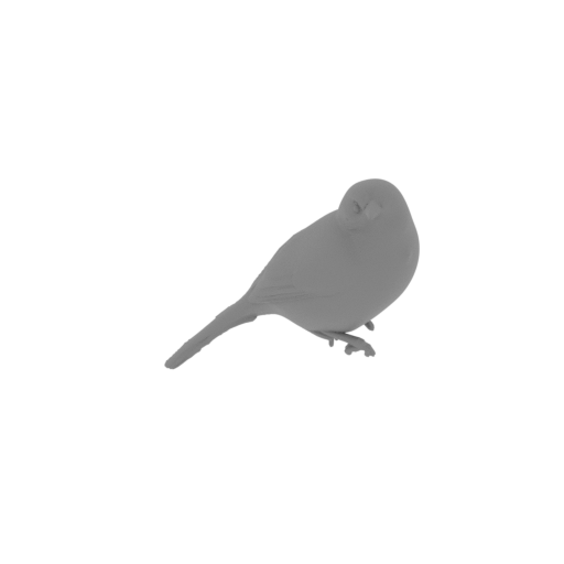 Apurímac brushfinch.stl