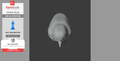 3D model of a prehistoric bird, viewed from above, showing its head and beak.