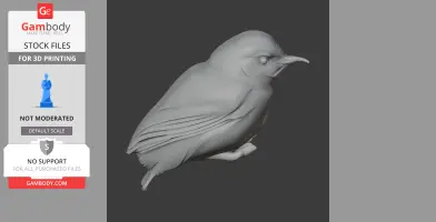 3D model of a bird with detailed feathers and a long beak, designed for 3D printing.
