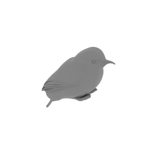 Apurímac spinetail.stl