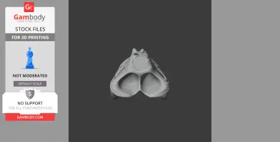 3D model of a Galvesaurus skull replica, frontal view, for 3D printing.