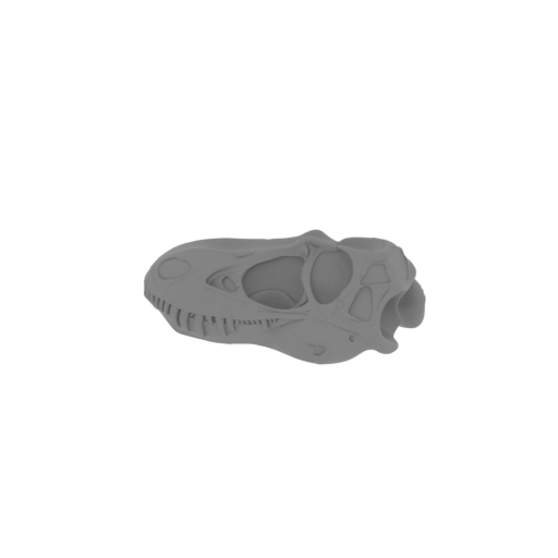 Galvesaurus Skull.stl