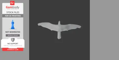 A 3D model of an Antarctic prion, featuring its spread wings, viewed from a top-down perspective.