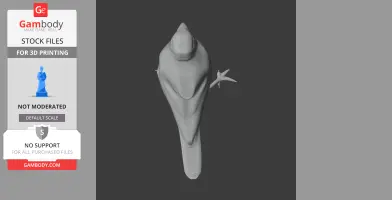 3D model of an Arabian golden-winged grosbeak from a top view, suitable for 3D printing.