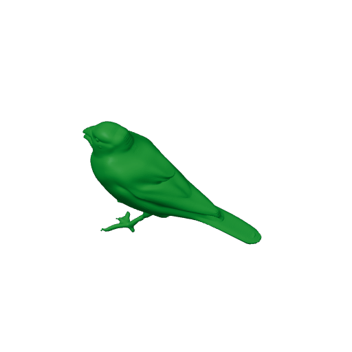 Arabian golden-winged grosbeak.3mf