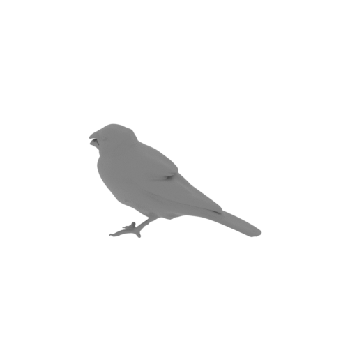 Arabian golden-winged grosbeak.stl