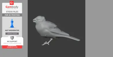 3D model of an Arabian golden-winged grosbeak, detailed for 3D printing, in a neutral pose.