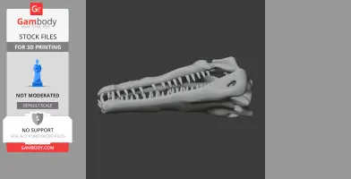 Gavinosaurus Skull - Skull Replica STL