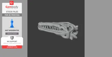 Gavinosaurus Skull - Skull Replica STL