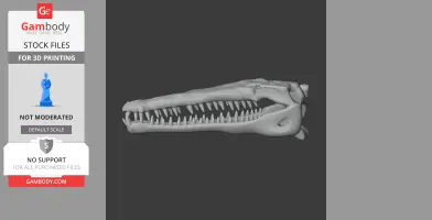 Gavinosaurus Skull - Skull Replica STL