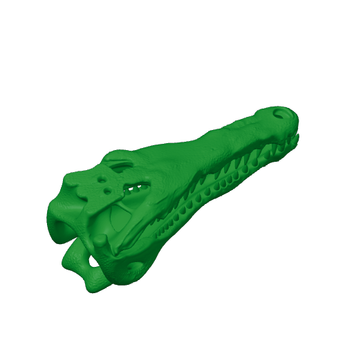 Gavinosaurus Skull.3mf