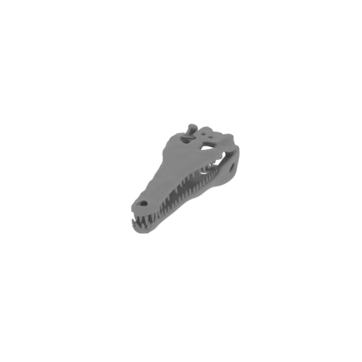 Gavinosaurus Skull.stl