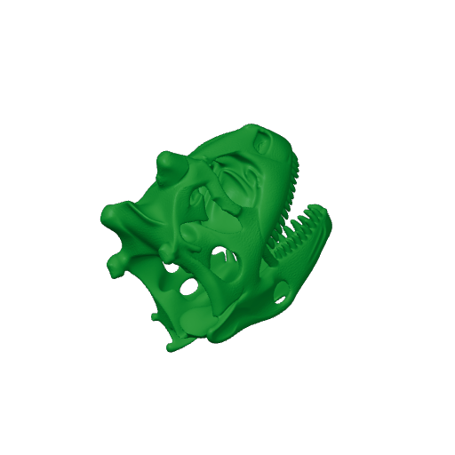 Genyodectes Skull.3mf