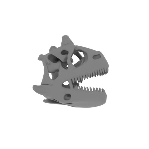 Genyodectes Skull.stl