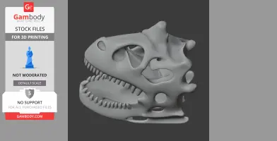 3D model of a Genyodectes dinosaur skull replica, with detailed teeth and bone structure.