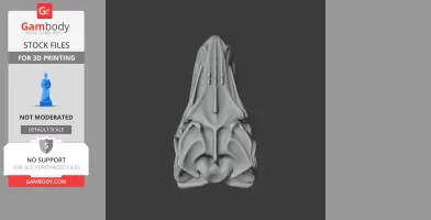 Top view of a detailed Gigantosaurus skull model on a dark background for 3D printing.