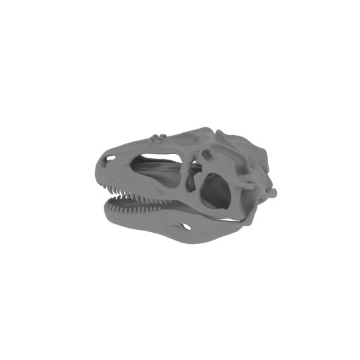 Gigantosaurus Skull.stl