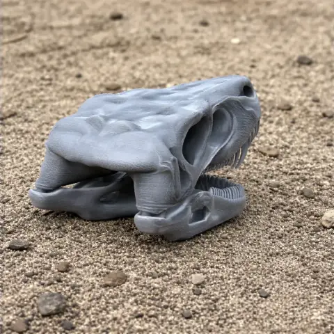 Gnathovorax Skull - Skull Replica STL