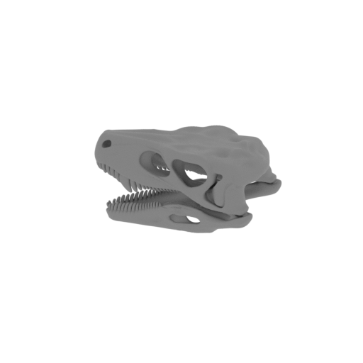 Gnathovorax Skull.stl