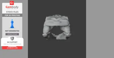 Gnathovorax Skull - Skull Replica STL