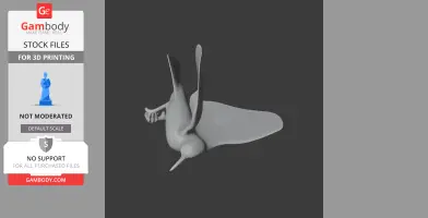 Arabian sunbird - Prehistoric Animal STL