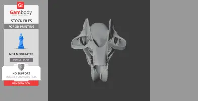 A detailed 3D model of a Gobisaurus skull, viewed from above, optimized for 3D printing.