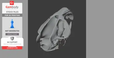 3D model of a Gobisaurus skull for printing, showcasing detailed bone structure on a dark background.