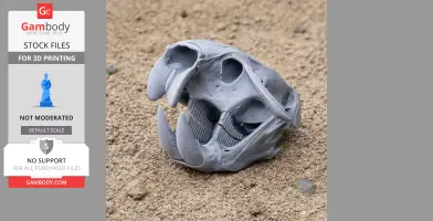 3D-printed Gobisaurus skull replica on a sandy surface.
