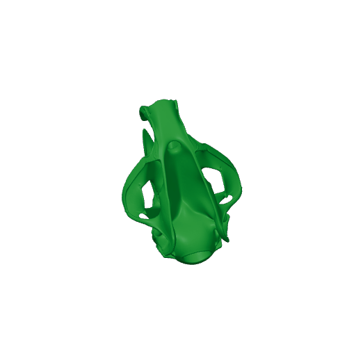 Gobisaurus Skull.3mf