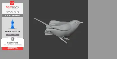 Arabian warbler - Prehistoric Animal STL