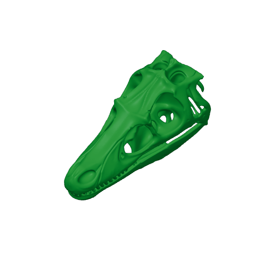 Hadrosaurus Skull.3mf