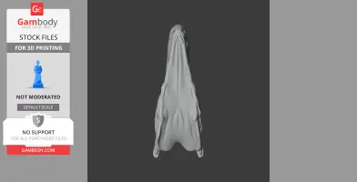 Herrerasaurus Skull - Skull Replica STL