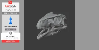 Herrerasaurus Skull - Skull Replica STL